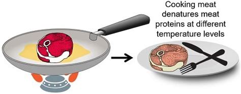 does autoclaving denature proteins|autoclaving effect on food.